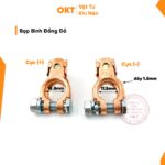 Bọp Bình Đồng Đỏ