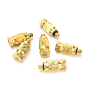 DM_20250619101312_001