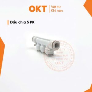 chia 5 pk 10