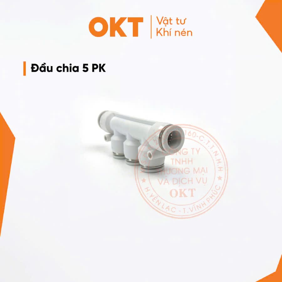 chia 5 pk 10