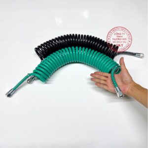 day hoi mooc xanh-đen