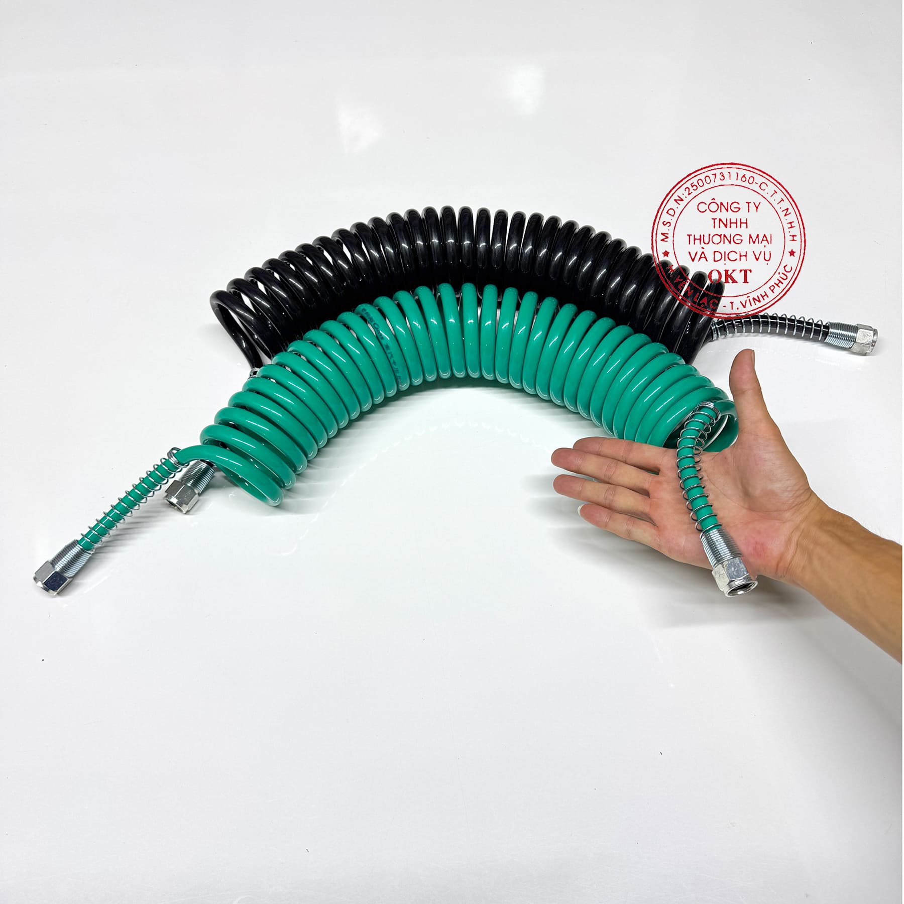 day hoi mooc xanh-đen